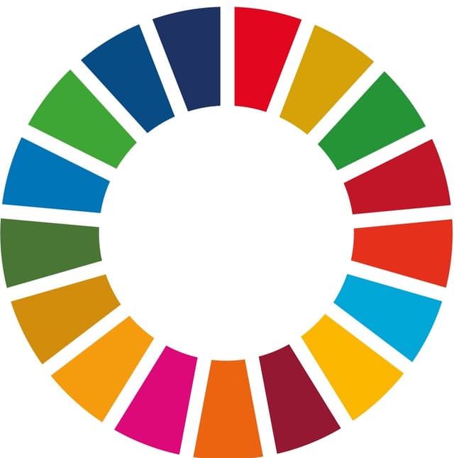 Sustainable Development Goals Sustainable Development Goals